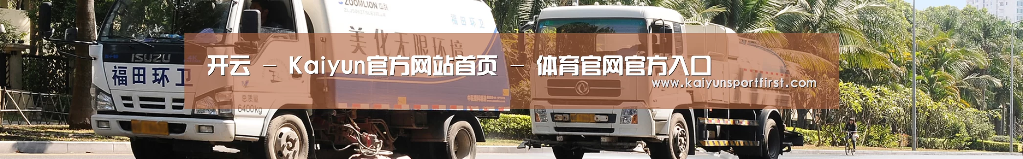 成功案例